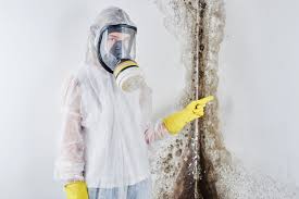 Best Mold Prevention Services  in Marion, KS